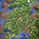 미경농장 이미지