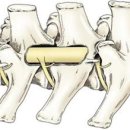 초읍동물병원 이미지