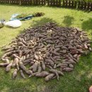 희정이네농장 이미지