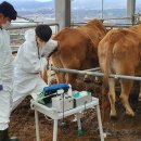 이동축산 이미지