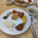 고골분식 | [호랭일기] 4.9 - 4.11 주말일기 /잔나비/미스터트롯 무기한연기/칼마디/김치볶음밥/한식뷔페