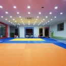 용인대 위닝 유도 클럽 이미지