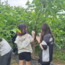 흥덕농장 네이버블로그