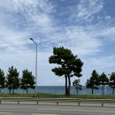 정암 | 양양 한식 솥밥 정암식당 내돈내산 후기 푸짐한 섭(홍합)솥밥정식 추천