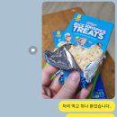 풀꽃작은도서관 | 2. ヤクザ