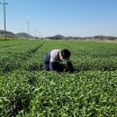 서천군농업기술센터 이미지