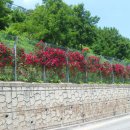 SK주유소 옆 이미지