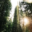 형제한의원 이미지