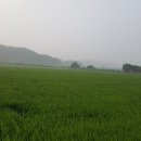 수정농장 이원 이미지