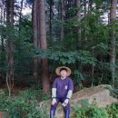 금문농장2 이미지