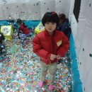 짱놀이터 이미지