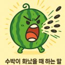 백조컴퓨터세탁소 이미지