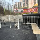 디케이워시영주점