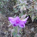 주곡경로당 | 백두대간 종주 30번째이야기(여원재~복성이재)