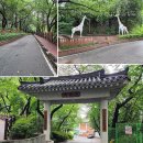 수봉양궁장 이미지