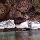 진부령황태구이 이미지