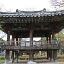 중기 효자숲 이미지