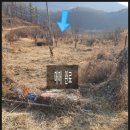 임고면-수성리-2