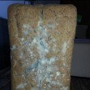 복이네 농장 이미지