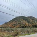 내룡보건진료소 이미지