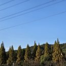 인천대공원(야외음악당 옆) | 인천대공원 대형 베이커리 카페 야외 정원 &lt;분아뜰리에&gt; 내돈내산 솔직 후기