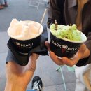 뉴시크릿모텔 | [뉴질랜드 여행록.09] 뉴질랜드 남섬 와나카편 / 와나카비치 / 와나카 포토스팟 / 시크릿사우나