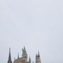 동심의 여행 이미지