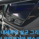 313카케어