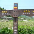 여수 금오도 매봉산(대부산381.9 m) 산행 및 비렁길 (22년9월24일,토요일) 이미지