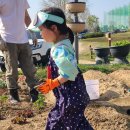 장화농장5 이미지