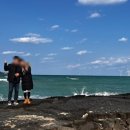 동그라미가든 이미지