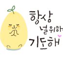 한줌엑스퍼트 이미지