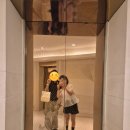 항도정육점 | [🇨🇳칭다오 여행 #2] 스티커 사진 찍고 고양이 카페 갔다가 따룬파마트에서 장보고 야시장 구경 간 2일차