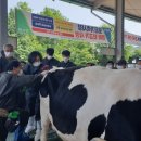 보은옥천영동축산업협동조합 이미지