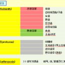 마이펫동물약국 이미지