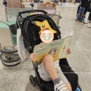 목포고을본점 | 5살 16개월 아기랑 4인 가족 3박 4일 제주 여행 포켓몬 원더 아일랜드 포켓몬고 제주도 스탬프 랠리...