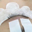 씨아이케어(CI care) | [영등포구청 도치도트] 속눈썹펌 맛집 도치도트 영양가득 복구펌후기