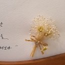 곶자왈카페