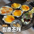 오이도 조개구이 치즈 무한리필 주차 가능한 시흥 청춘조개
