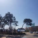 하늘샘체육관 이미지