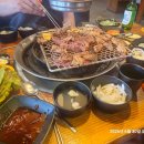푸른솔 S&A