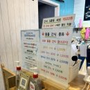 미어캣인더시티 | 귀여운 고양이를 마음껏 볼 수 있는 김포 데이트 김포 실내 데이트 미어캣인더시티