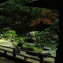 우리복사 이미지