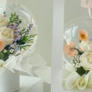 꽃풍선 & 버블 플라워 이미지