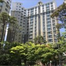 서구-01-41 이미지