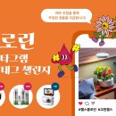 플로린