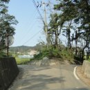 서도중학교 볼음분교 이미지