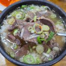 나주배한우 | 나주 곰탕거리 맛집 현지인 추천 노안집 주말 웨이팅 내돈내산 후기