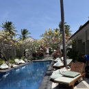 파인트리 | 인도네시아 길리 빌라파인트리 후기, 길리 맛집 수미사테