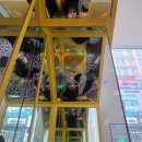 악쓰는하마 코인노래연습장 배곧점 이미지